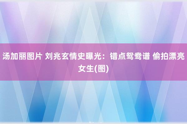 汤加丽图片 刘兆玄情史曝光：错点鸳鸯谱 偷拍漂亮女生(图)