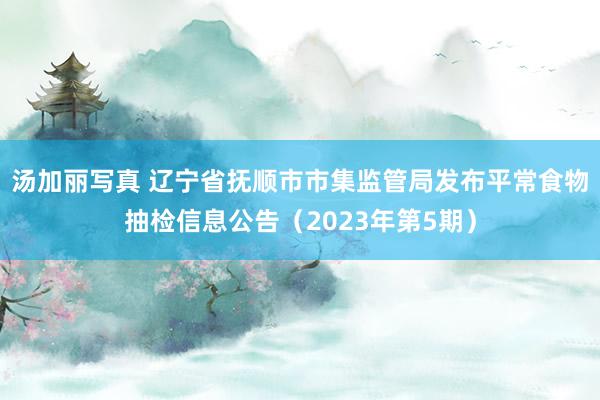 汤加丽写真 辽宁省抚顺市市集监管局发布平常食物抽检信息公告（2023年第5期）