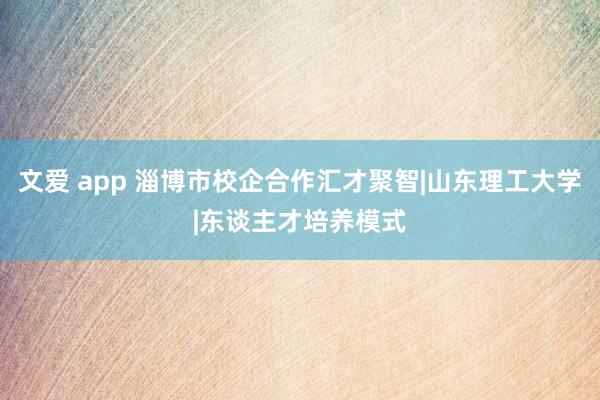 文爱 app 淄博市校企合作汇才聚智|山东理工大学|东谈主才培养模式