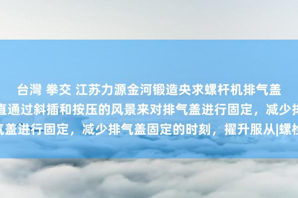 台灣 拳交 江苏力源金河锻造央求螺杆机排气盖定位工装专利，大致径直通过斜插和按压的风景来对排气盖进行固定，减少排气盖固定的时刻，擢升服从|螺栓|底盘