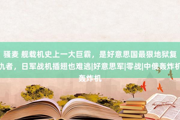 骚麦 舰载机史上一大巨霸，是好意思国最狠地狱复仇者，日军战机插翅也难逃|好意思军|零战|中俄轰炸机